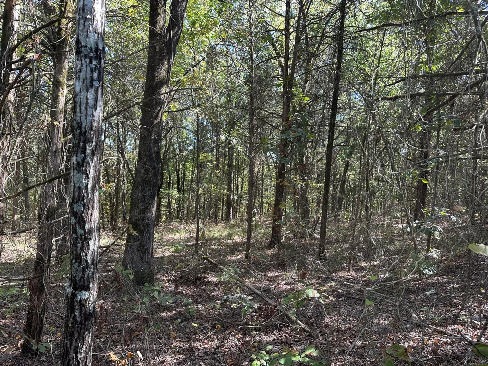 18288 Benson Heavener, OK 74937