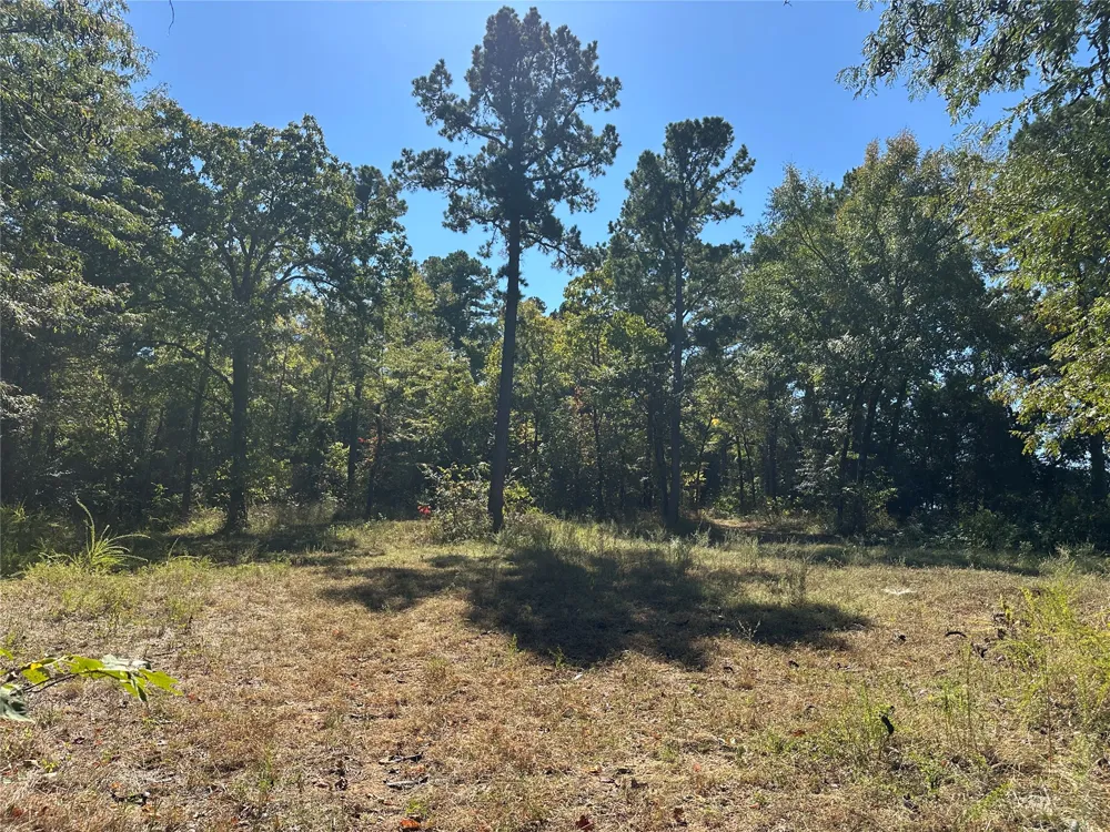 18288 Benson Heavener, OK 74937
