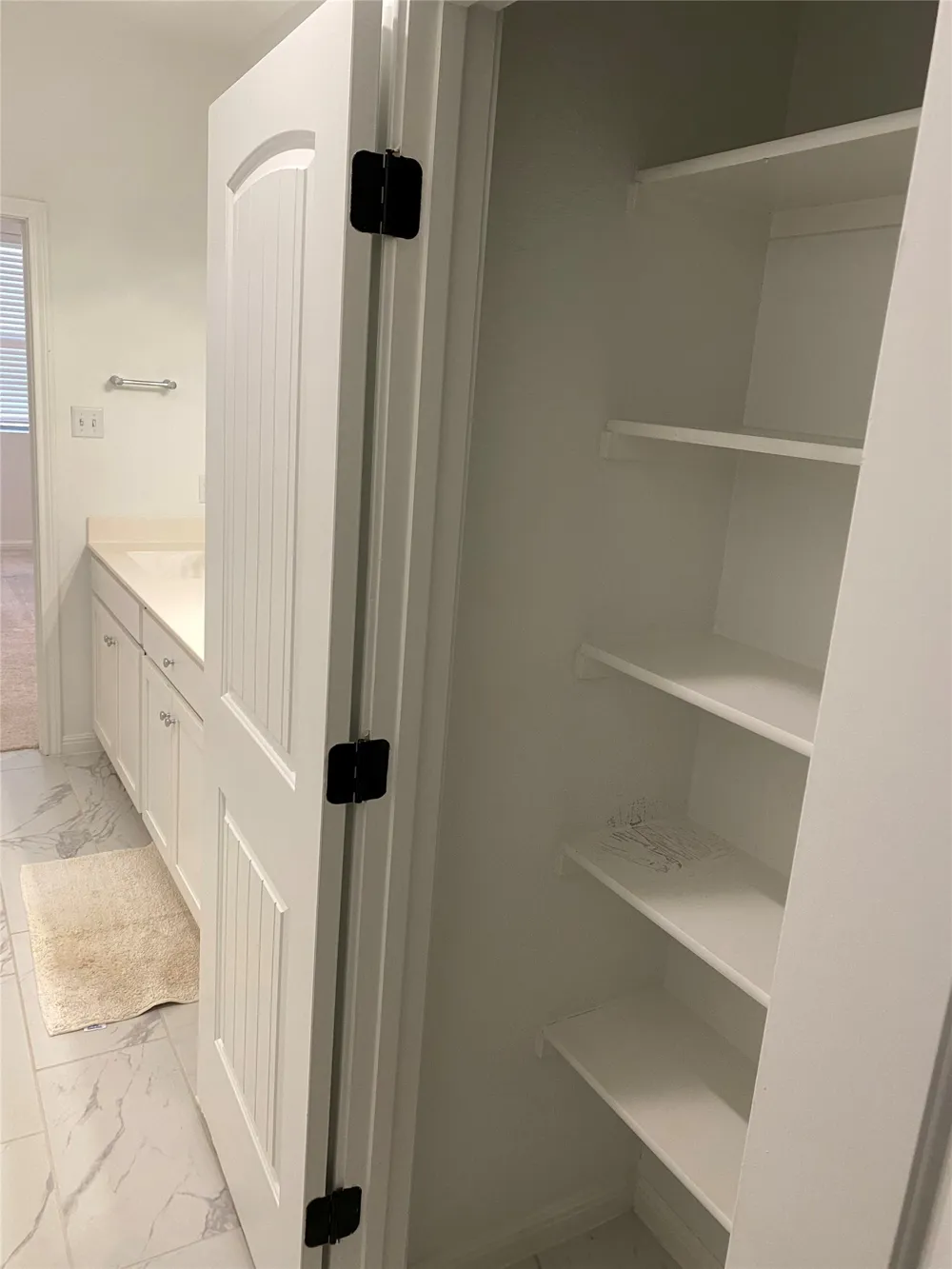 115 Lyrebird Lane Hutto, TX 78634