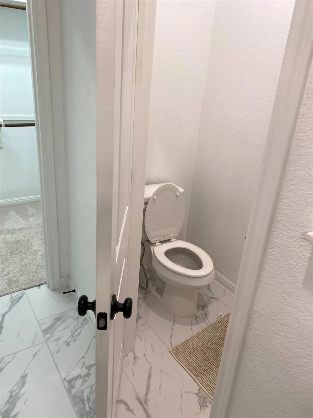 115 Lyrebird Lane Hutto, TX 78634