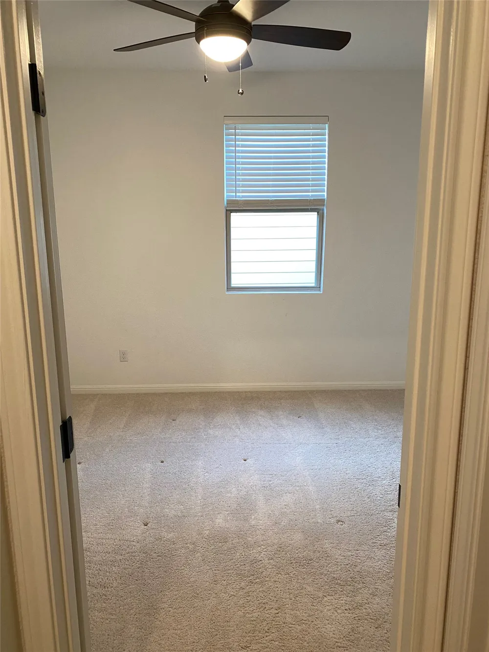 115 Lyrebird Lane Hutto, TX 78634