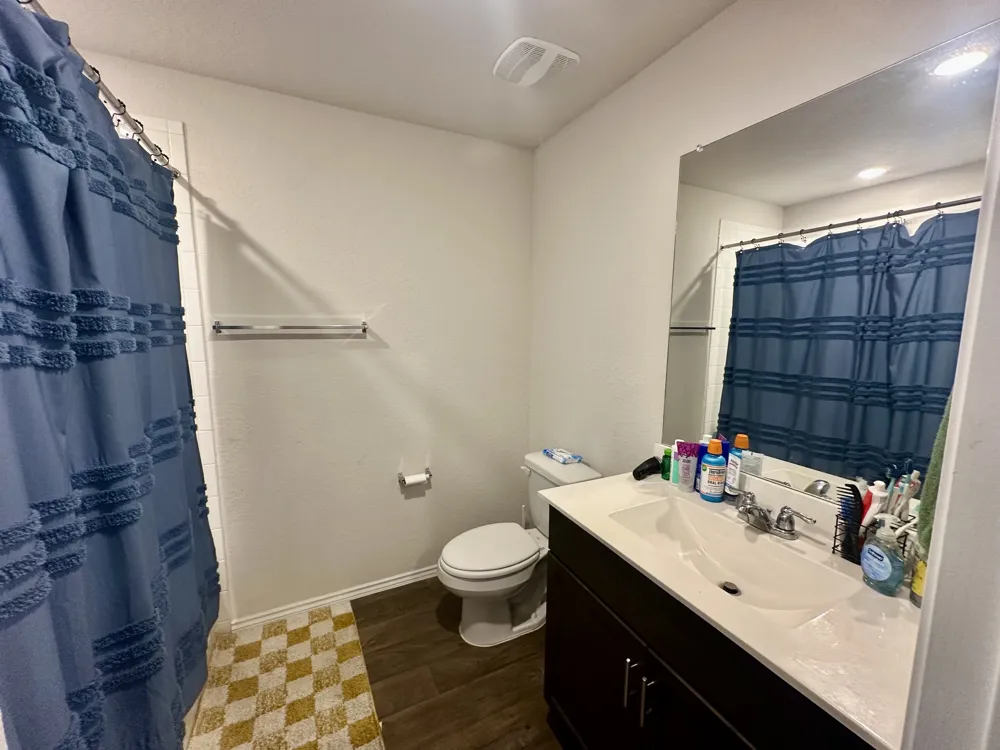 1733 James Street New Braunfels, TX 78130
