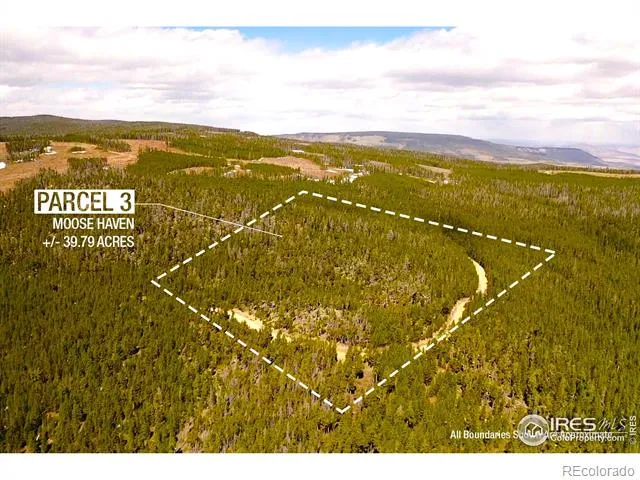 0 Forest Service 169 Road #Parcel #3 Red Feather Lakes, CO 80545