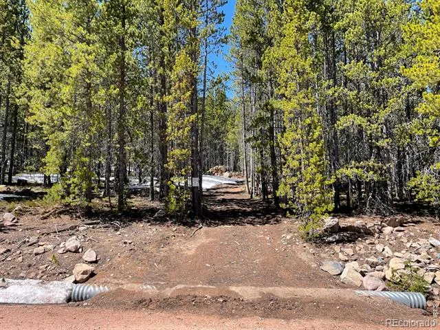 0 Forest Service 169 Road #Parcel #3 Red Feather Lakes, CO 80545