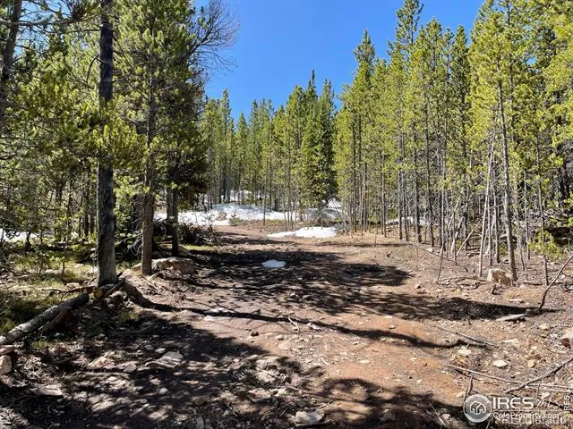 0 Forest Service 169 Road #Parcel #3 Red Feather Lakes, CO 80545