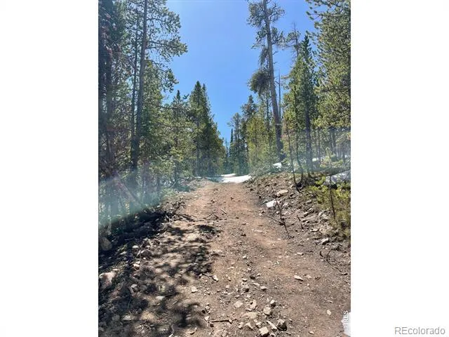 0 Forest Service 169 Road #Parcel #3 Red Feather Lakes, CO 80545