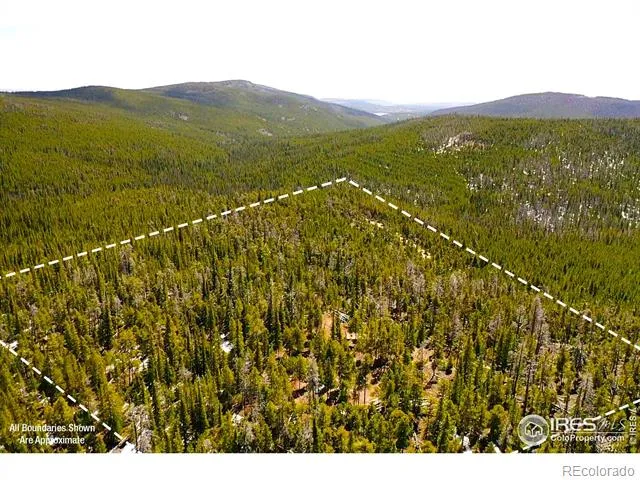 0 Forest Service 169 Road #Parcel #3 Red Feather Lakes, CO 80545