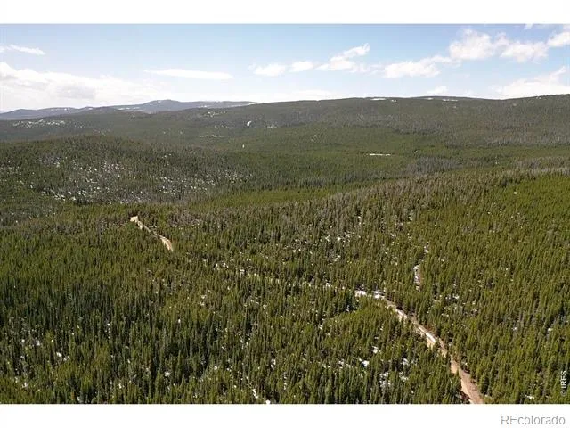 0 Forest Service 169 Road #Parcel #3 Red Feather Lakes, CO 80545