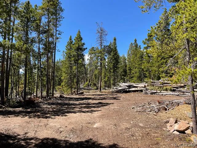 0 Forest Service 169 Road #Parcel #3 Red Feather Lakes, CO 80545