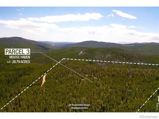 0 Forest Service 169 Road #Parcel #3 Red Feather Lakes, CO 80545
