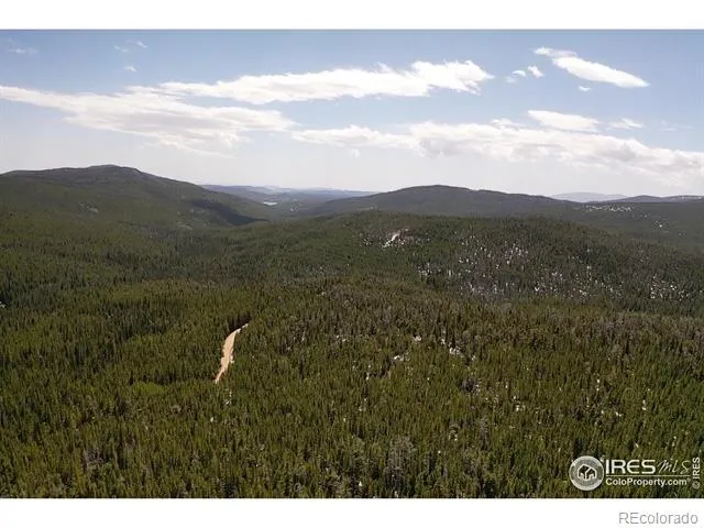 0 Forest Service 169 Road #Parcel #3 Red Feather Lakes, CO 80545