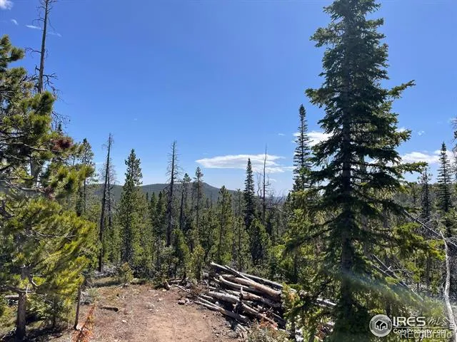 0 Forest Service 169 Road #Parcel #3 Red Feather Lakes, CO 80545