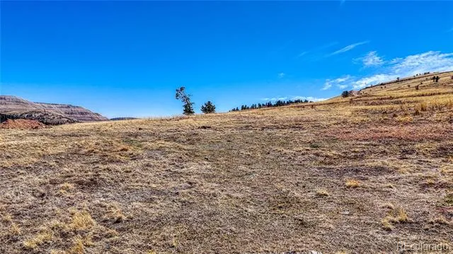 L16-17 Whalen Cripple Creek, CO 80813