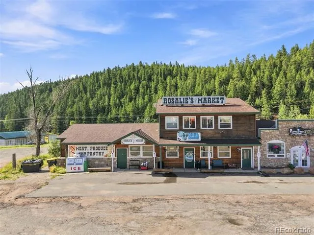 49 County Road 68 Bailey, CO 80421