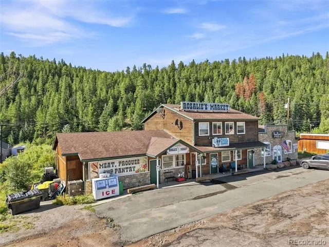 49 County Road 68 Bailey, CO 80421