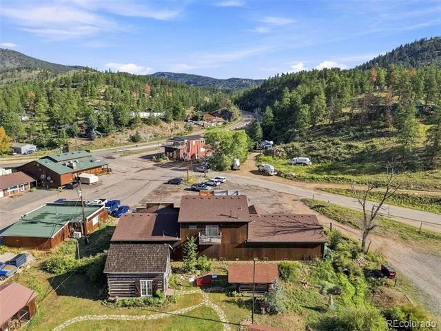 49 County Road 68 Bailey, CO 80421