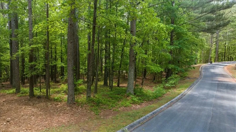 0 Golden Delicious Road Clarkesville, GA 30523