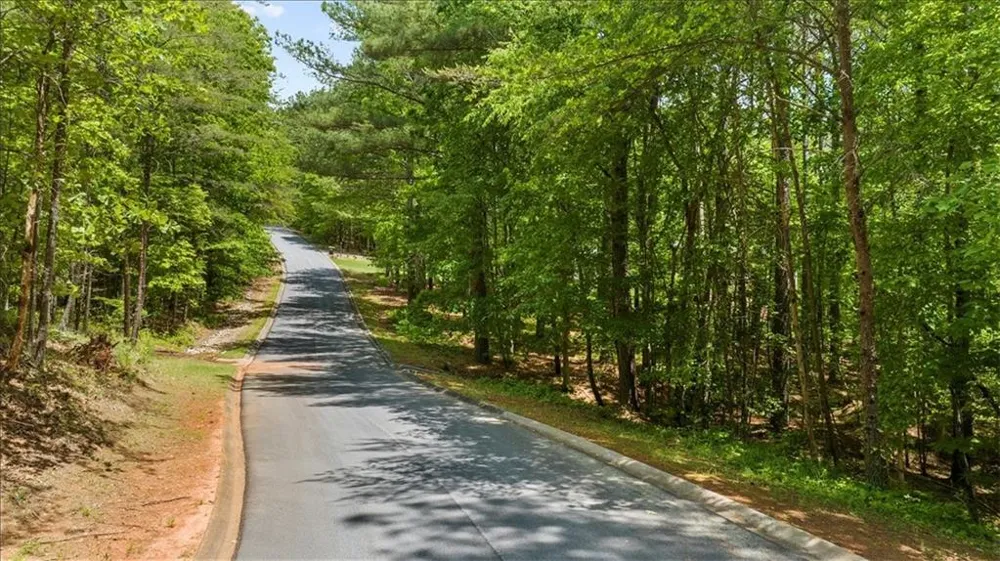 0 Golden Delicious Road Clarkesville, GA 30523