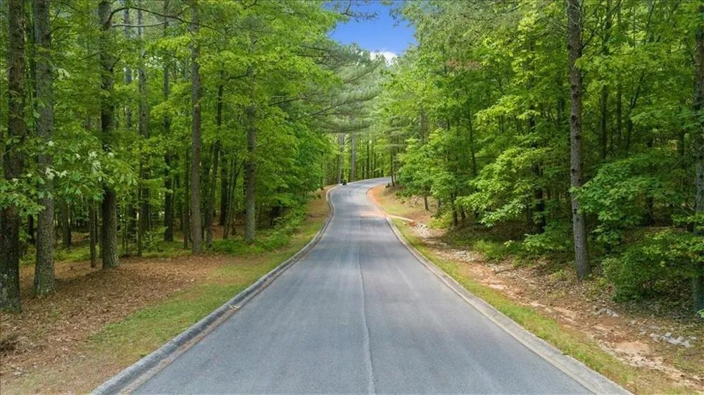 0 Golden Delicious Road Clarkesville, GA 30523