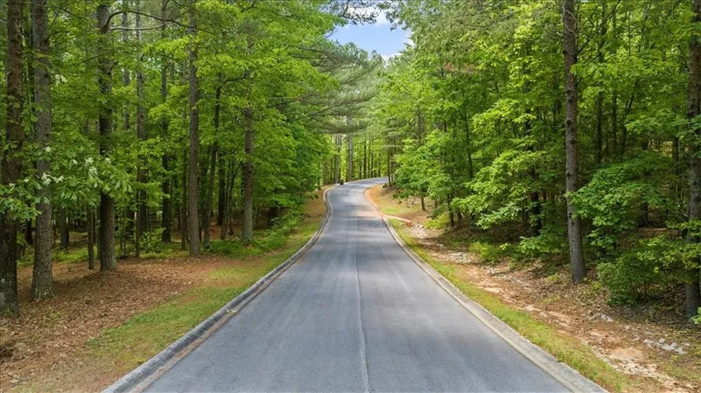 0 Golden Delicious Road Clarkesville, GA 30523
