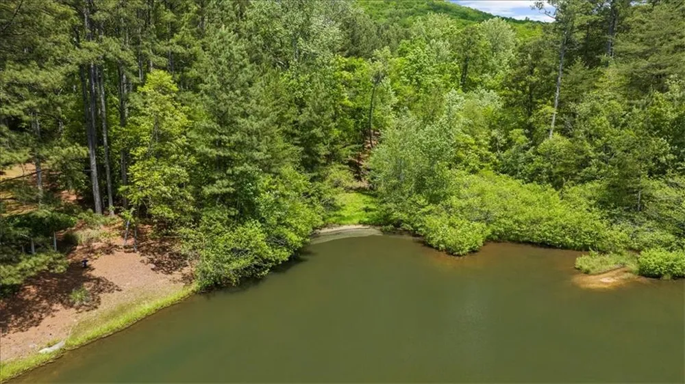 0 Golden Delicious Road Clarkesville, GA 30523