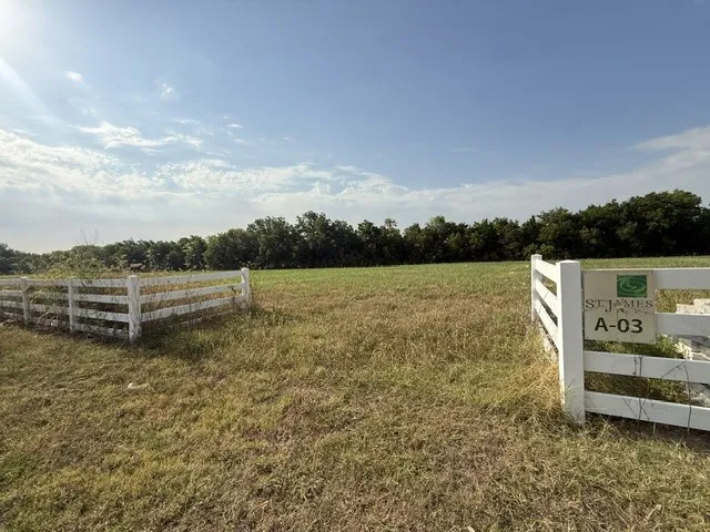 3 St. James Alley Sunnyvale, TX 75182