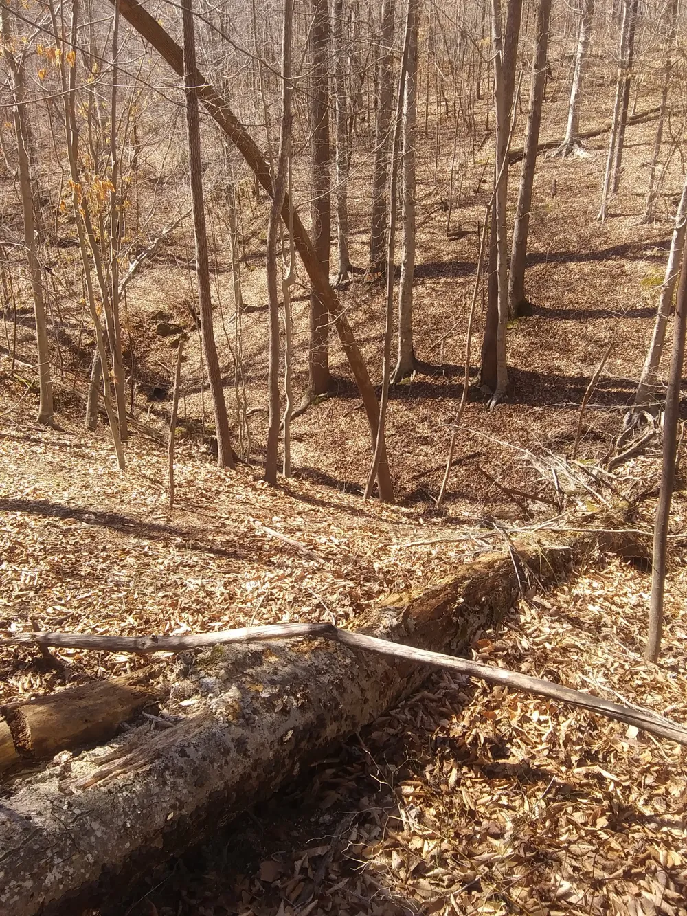 1071 Simms Heights Rd Kingston Springs, TN 37082