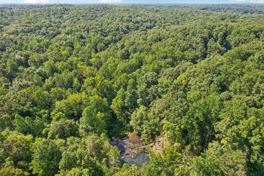 1071 Simms Heights Rd Kingston Springs, TN 37082