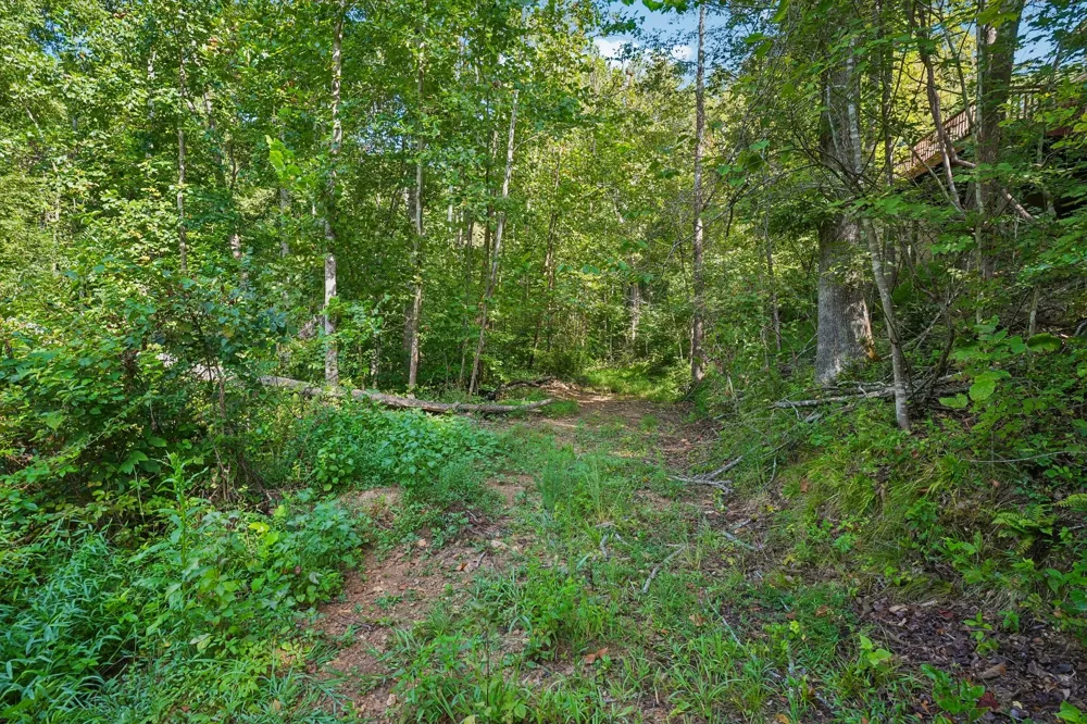 1071 Simms Heights Rd Kingston Springs, TN 37082