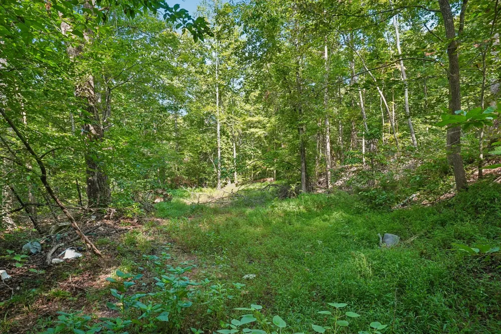 1071 Simms Heights Rd Kingston Springs, TN 37082