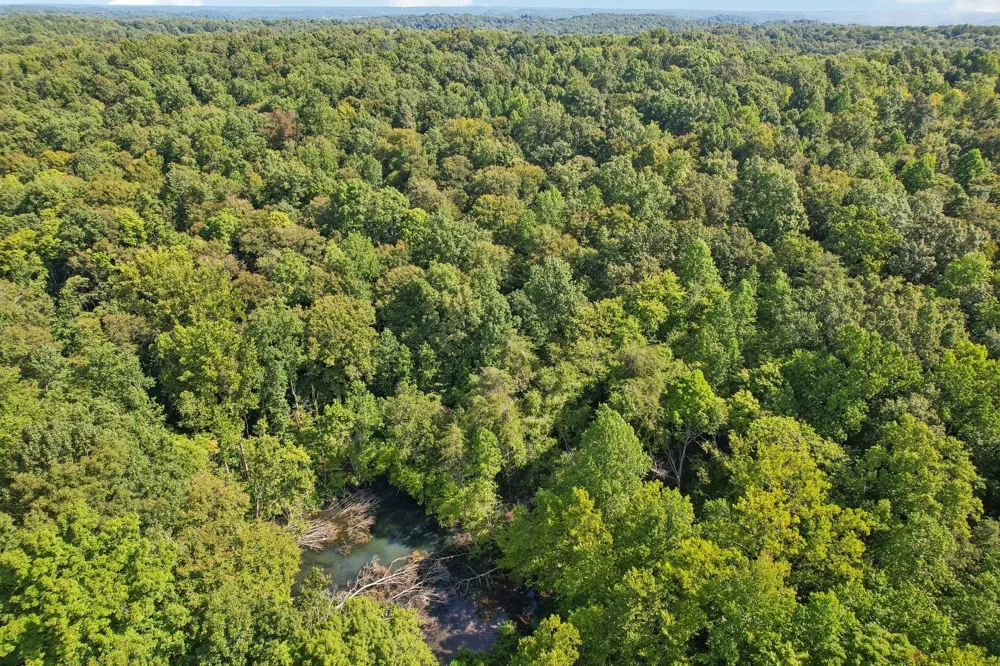 1071 Simms Heights Rd Kingston Springs, TN 37082