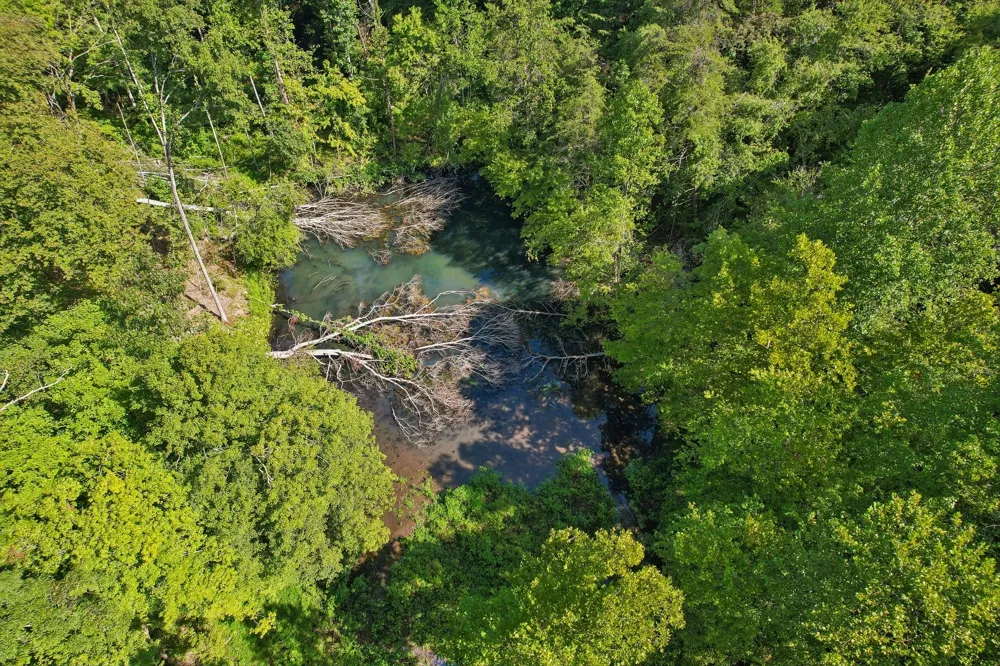 1071 Simms Heights Rd Kingston Springs, TN 37082