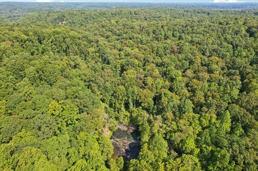1071 Simms Heights Rd Kingston Springs, TN 37082