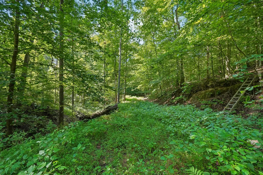 1071 Simms Heights Rd Kingston Springs, TN 37082