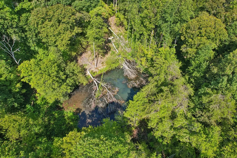 1071 Simms Heights Rd Kingston Springs, TN 37082
