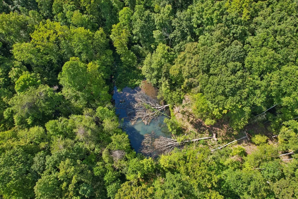 1071 Simms Heights Rd Kingston Springs, TN 37082