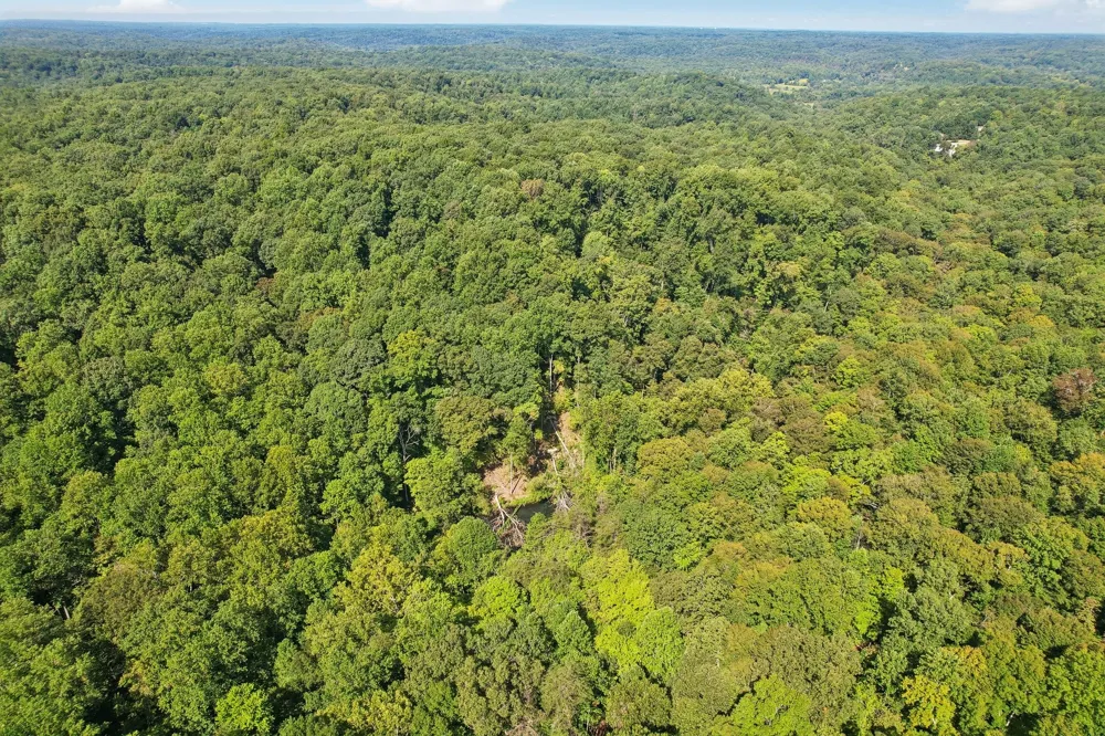 1071 Simms Heights Rd Kingston Springs, TN 37082