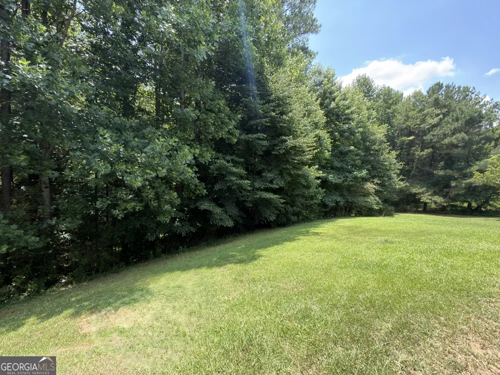 4368 Gray Raptor CIR Snellville, GA 30039