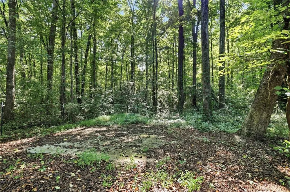 342 Stonington Drive Mount Airy, GA 30563