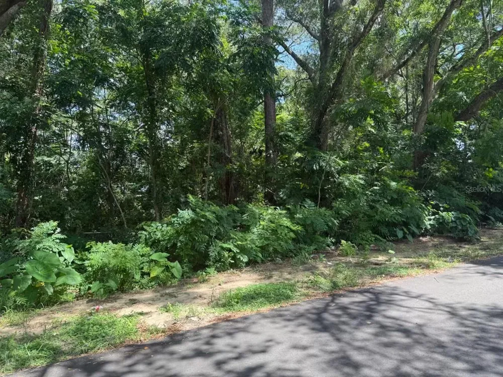 3090 SE 20TH AVENUE Gainesville, FL 32641