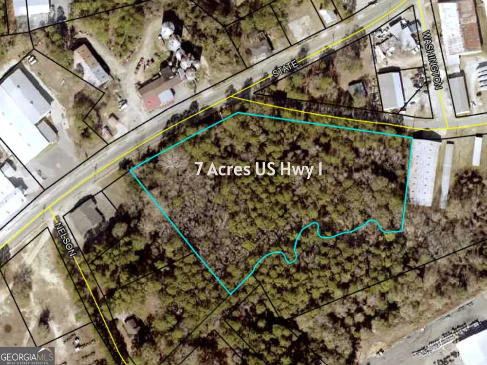 0 S U S Highway 1 Lyons, GA 30436
