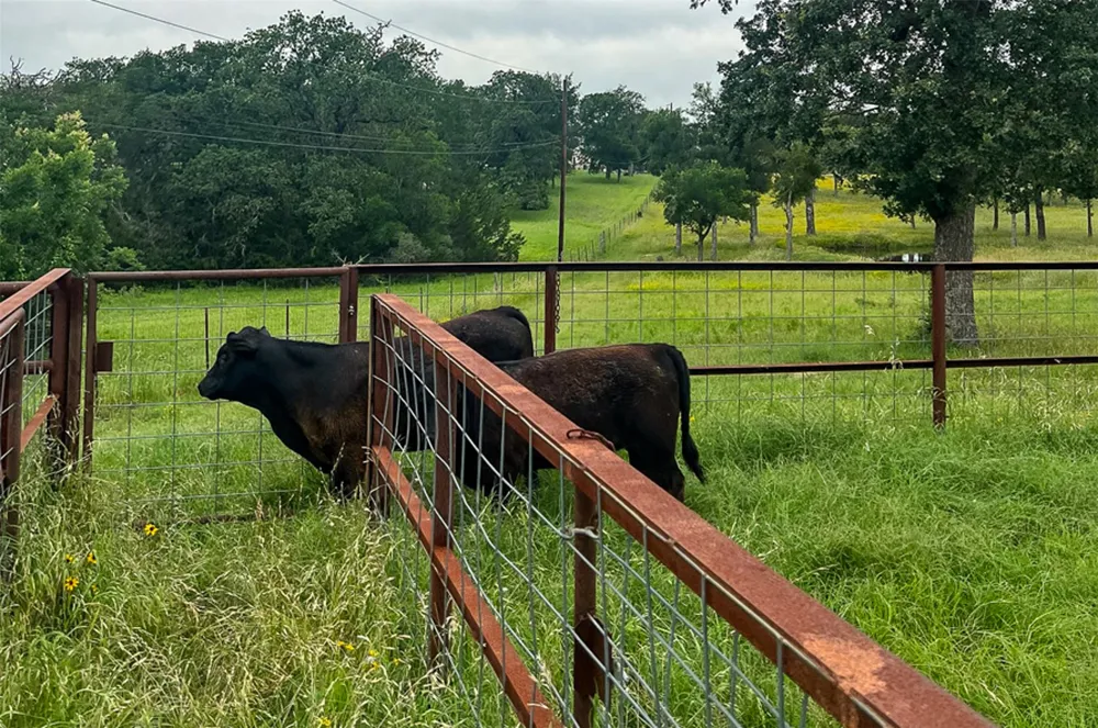 2936 FM 1704 Elgin, TX 78621
