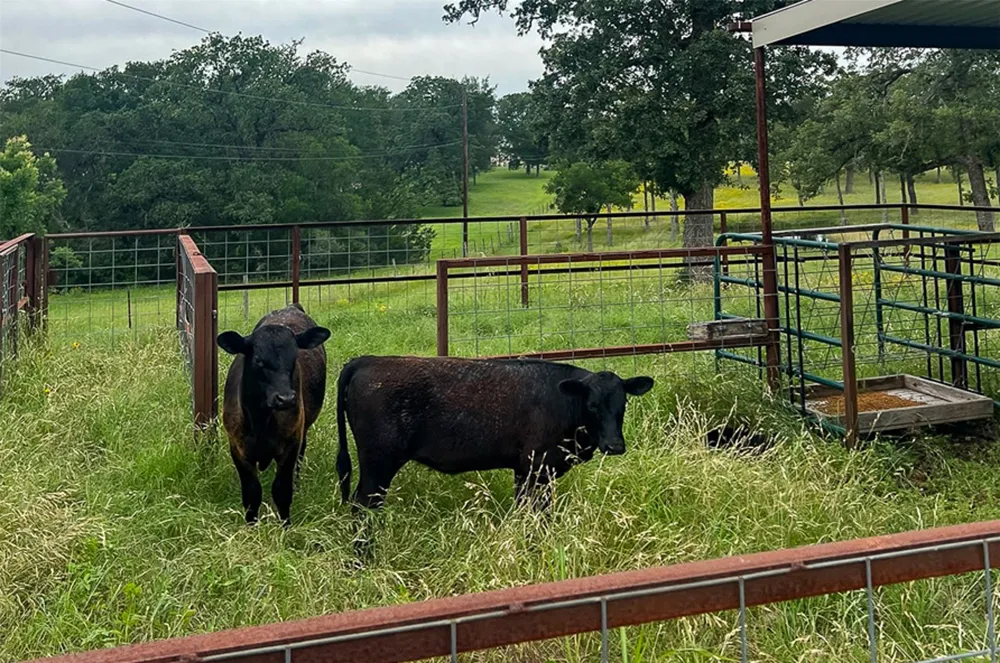 2936 FM 1704 Elgin, TX 78621