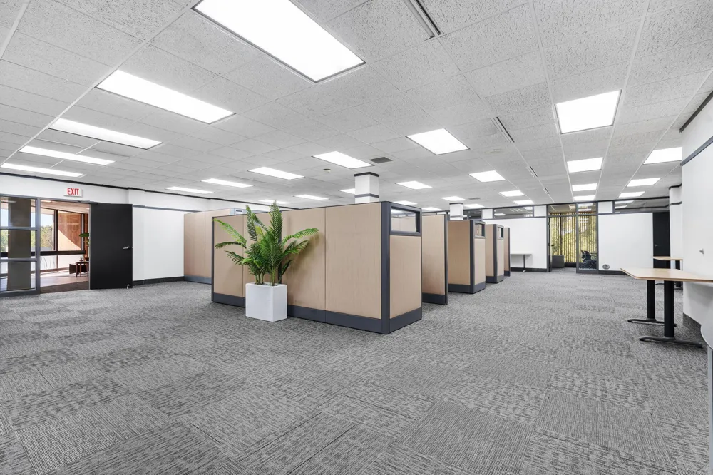 115 Clover Street Holland, MI 49423