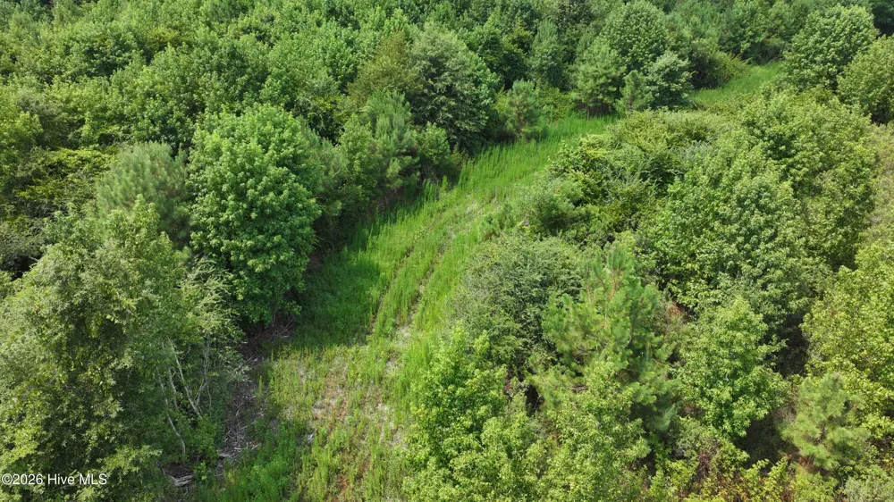 2 Alderman Road Wallace, NC 28466