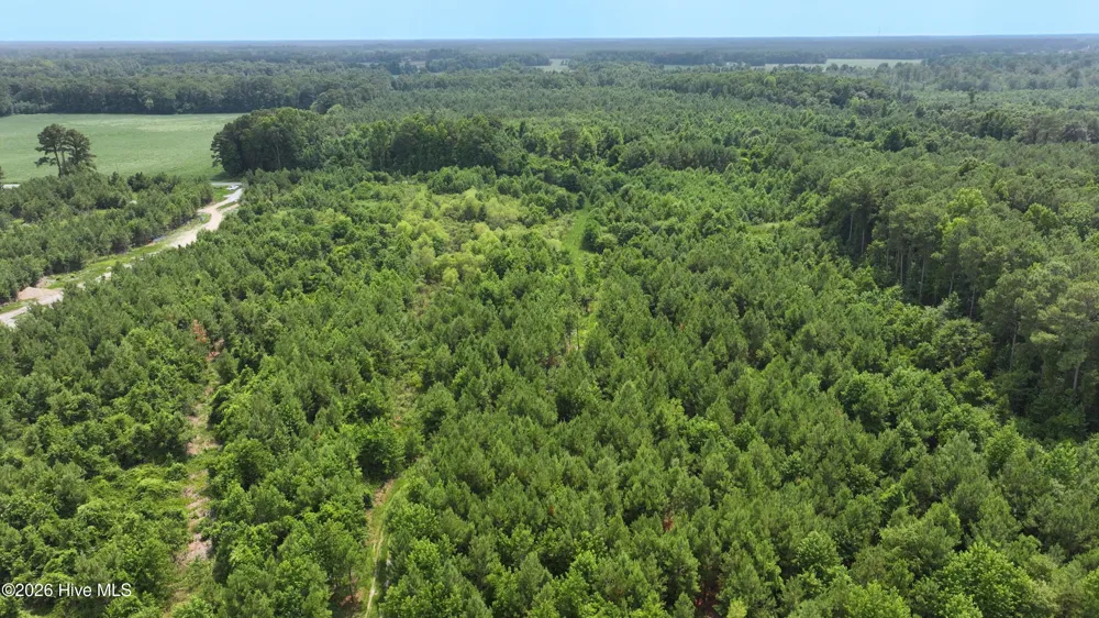 2 Alderman Road Wallace, NC 28466