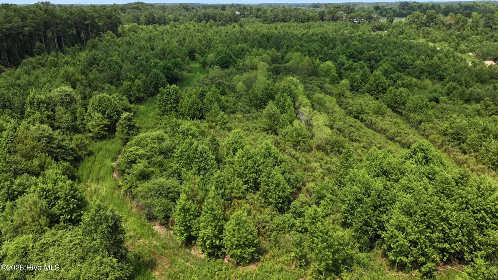 2 Alderman Road Wallace, NC 28466