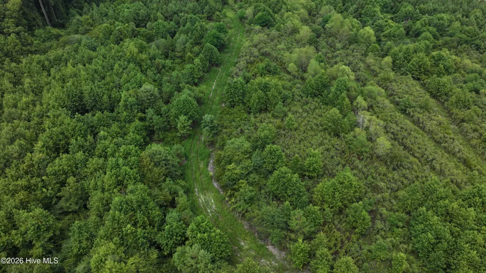 2 Alderman Road Wallace, NC 28466