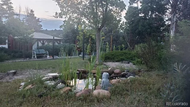 9116 Warriors Mark Drive Franktown, CO 80116