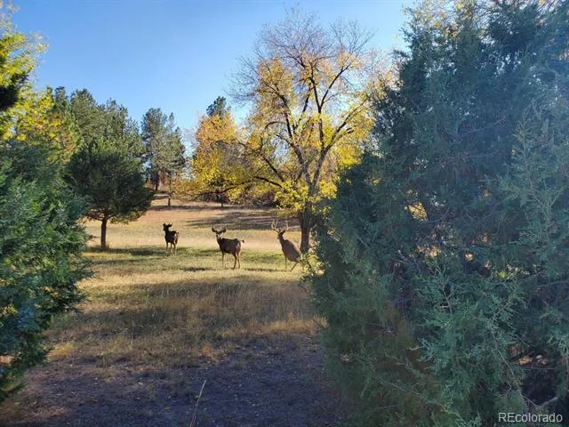 9116 Warriors Mark Drive Franktown, CO 80116
